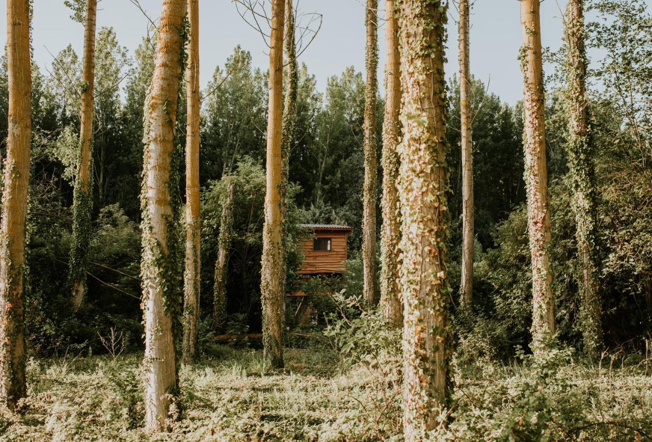 Bonita De Arboles En La Rioja , Durmiendo Entre Arboles Anguciana