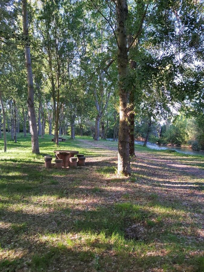 Bonita De Arboles En La Rioja , Durmiendo Entre Arboles * Anguciana